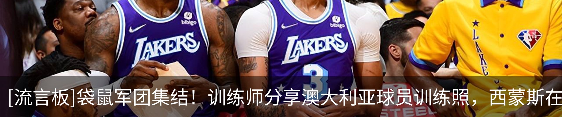 新闻动态